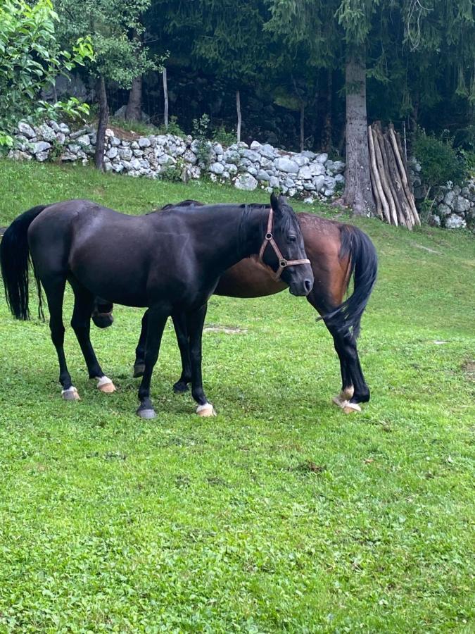 Posestvo Tmzek Villa Bovec Eksteriør bilde