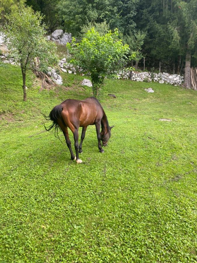 Posestvo Tmzek Villa Bovec Eksteriør bilde